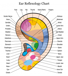 ear_reflexology_chart